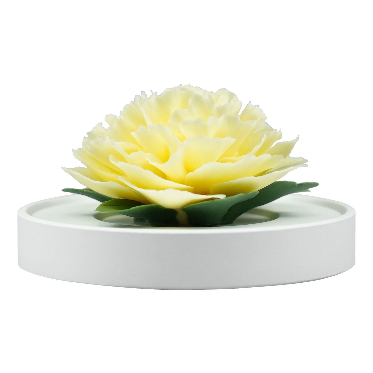 Stamenless Yellow Peony - floracera