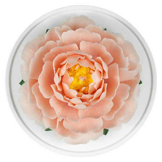 Peach pink Peony - floracera