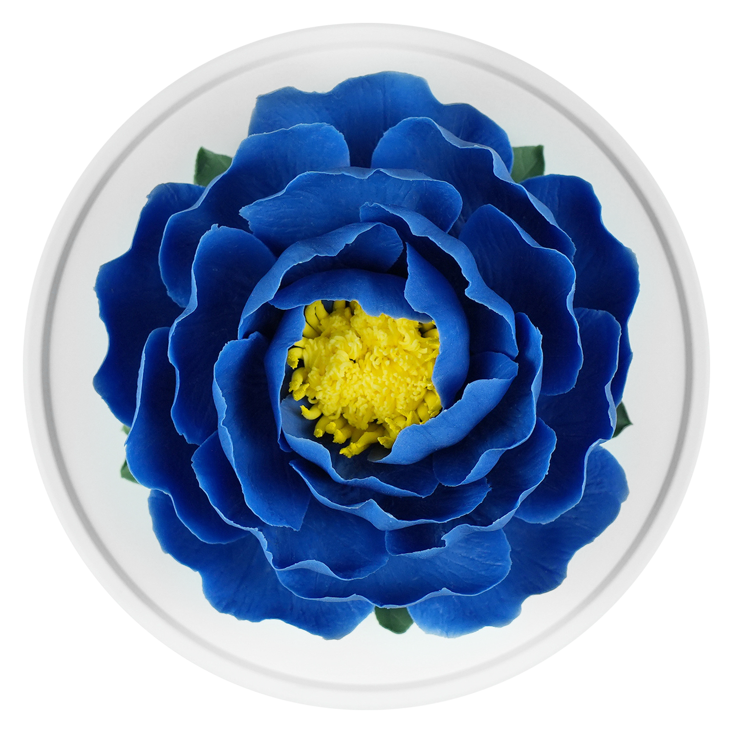 Luxury ceramic flower scent diffuser for home in blue, peony, displayed from above