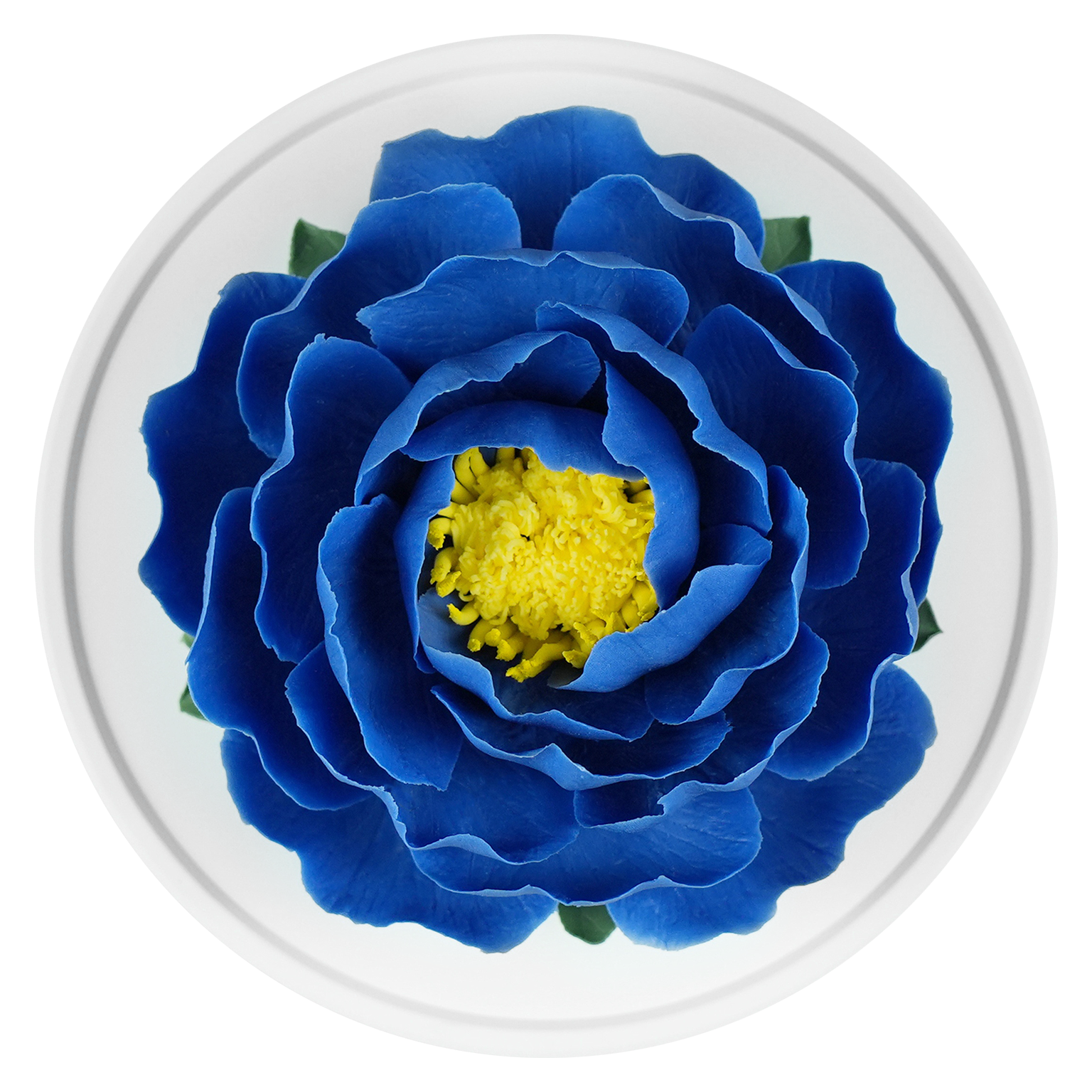 Luxury ceramic flower scent diffuser for home in blue, peony, displayed from above