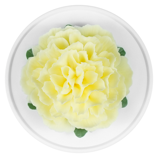 Stamenless Yellow Peony - floracera