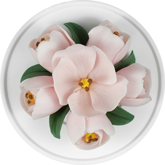 Pale Pink Herbaceous Peony - floracera