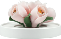 Luxury ceramic flower scent diffuser for home in pale pink, tulip, displayed from front