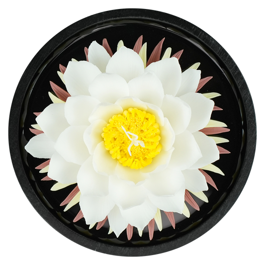 Water Lily - floracera