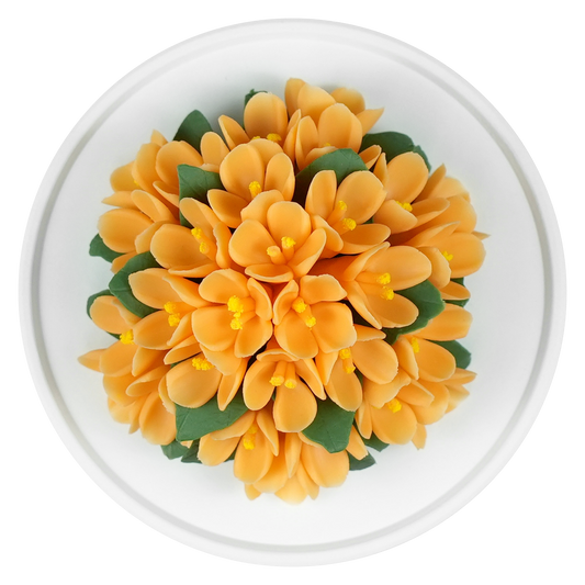 Orange Freesia - floracera