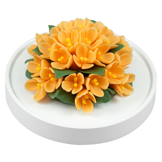 Orange Freesia - floracera