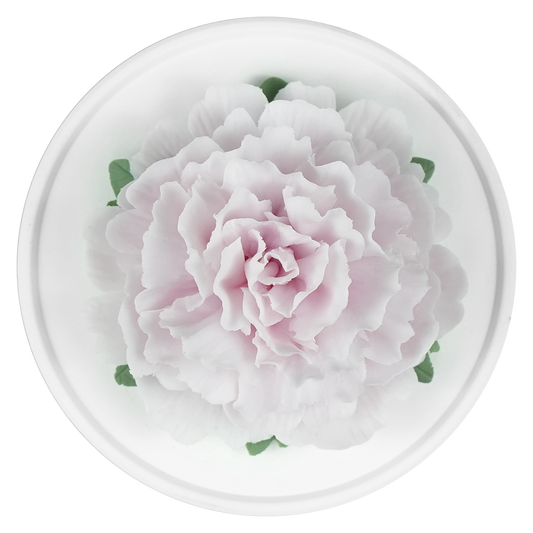 Stamenless Purple Peony - floracera