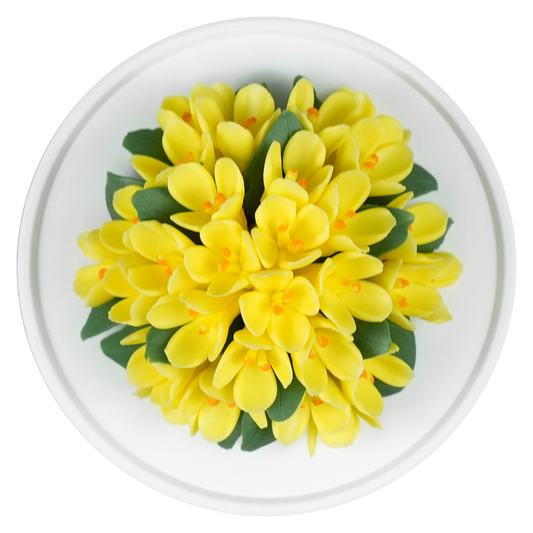 Yellow Freesia - floracera