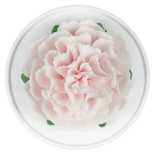 Stamenless Pale Pink Peony - floracera