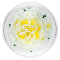 Luxury ceramic flower scent diffuser for home in wihte, dahlia, displayed from above