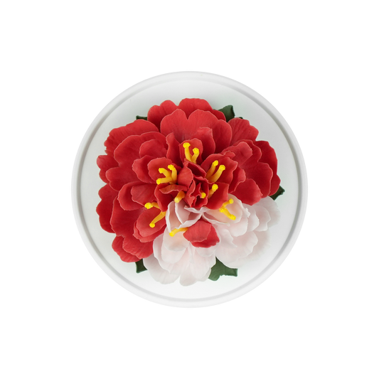 Handmade Ceramic Flower Diffuser (Color blocked peony)