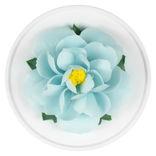 Pale Blue Peony - floracera