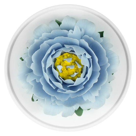 Light Blue Peony - floracera
