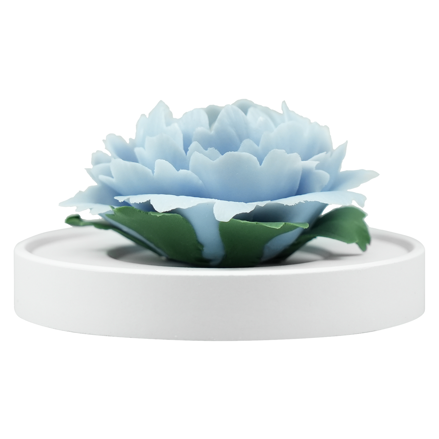 Light Blue Peony - floracera