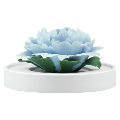 Light Blue Peony - floracera