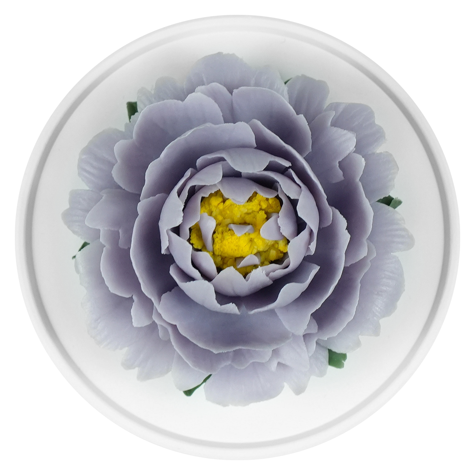 Light Purple Peony - floracera