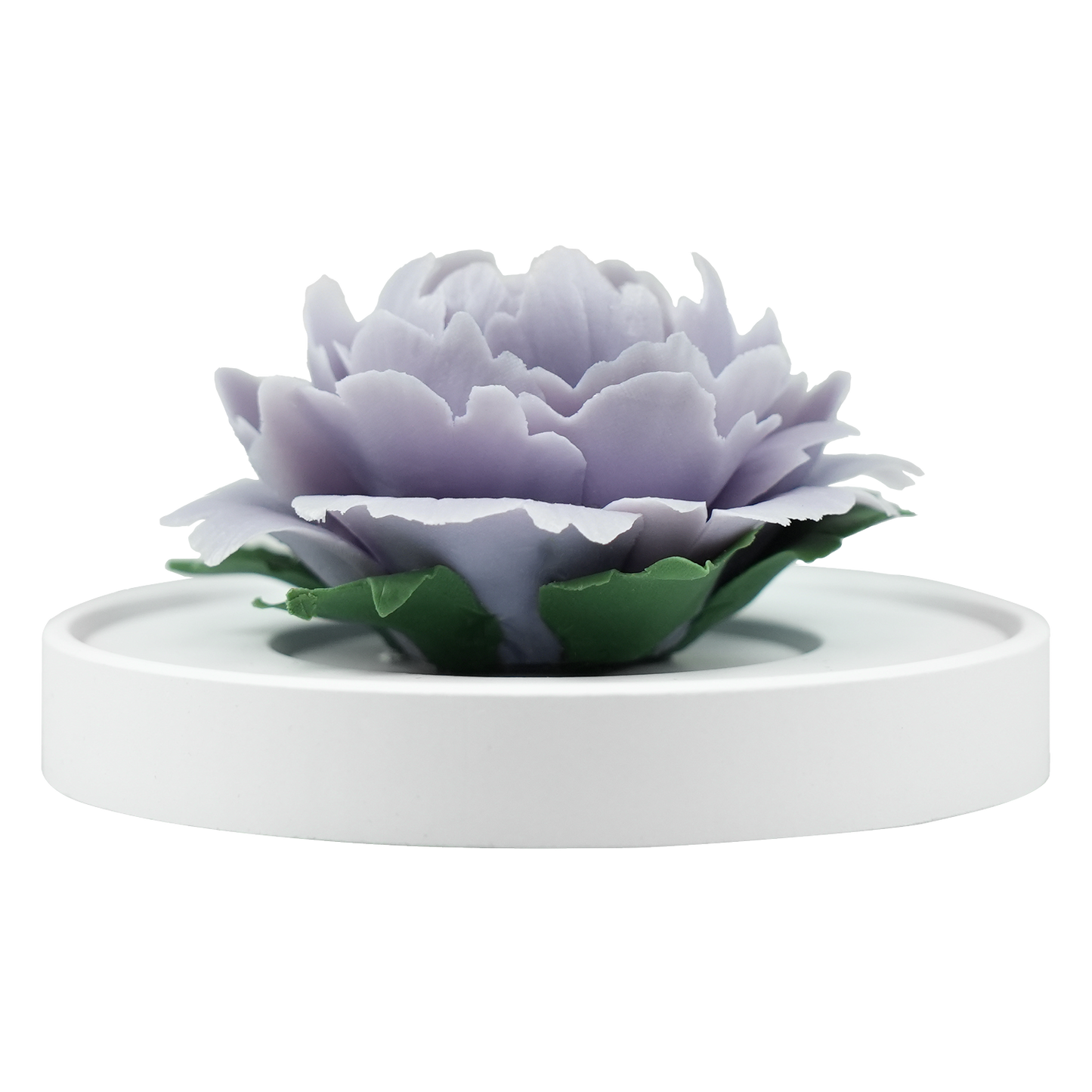 Light Purple Peony - floracera