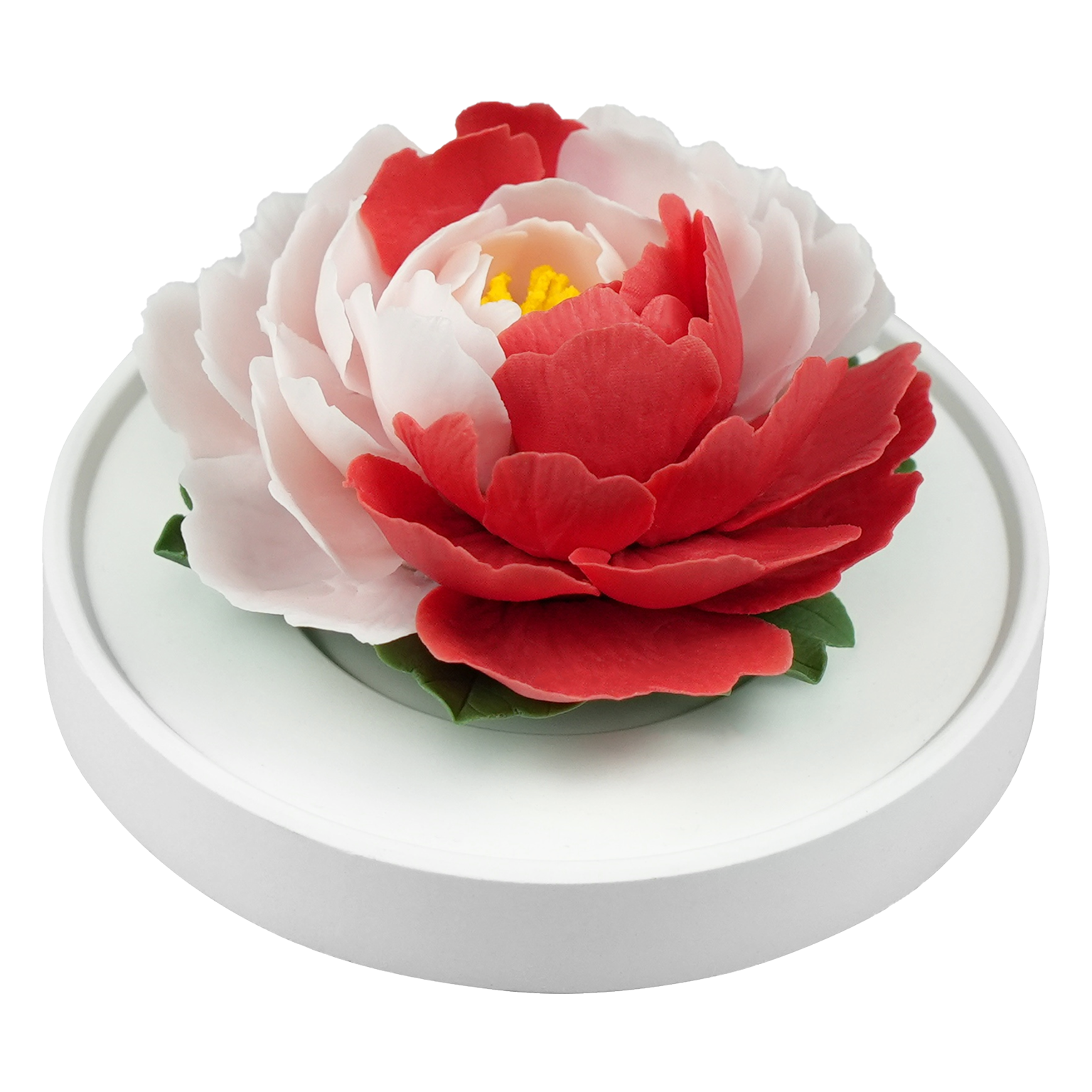 Color blocked peony - floracera