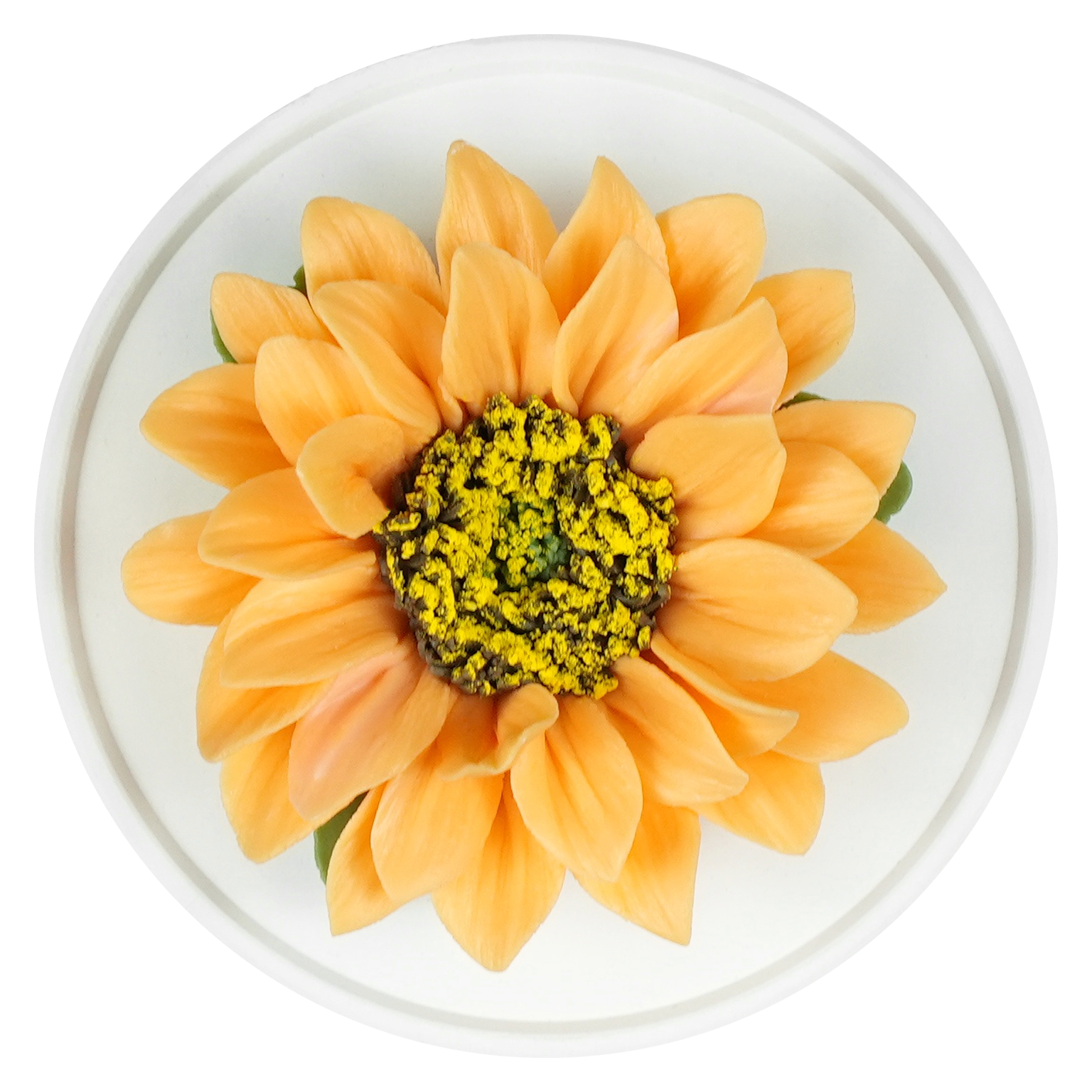 Orange Sunflower - floracera