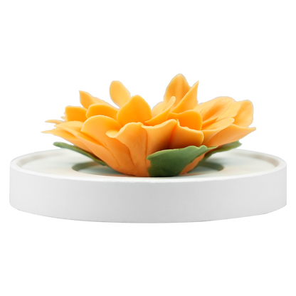 Orange Sunflower - floracera