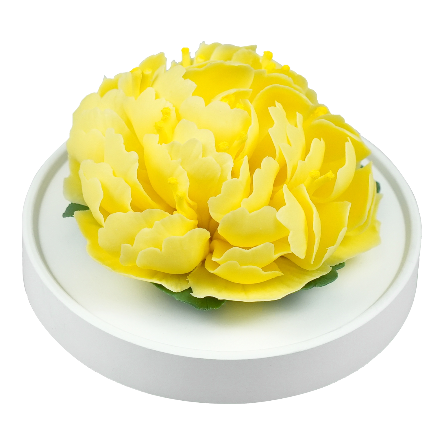 Yellow Peony - floracera