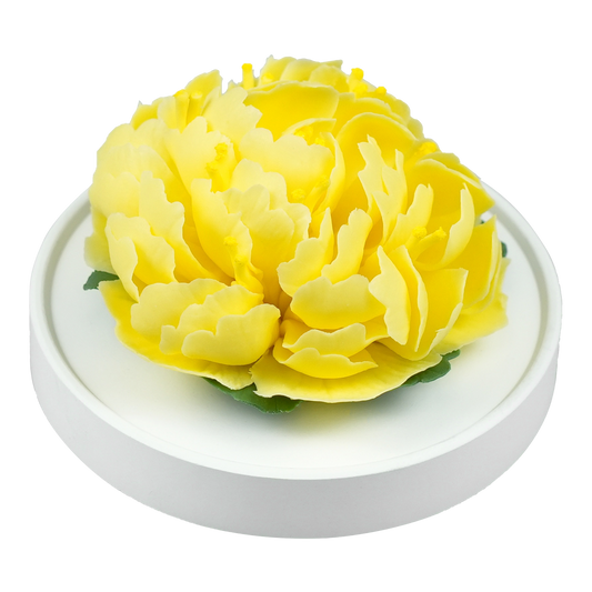 Yellow Peony - floracera