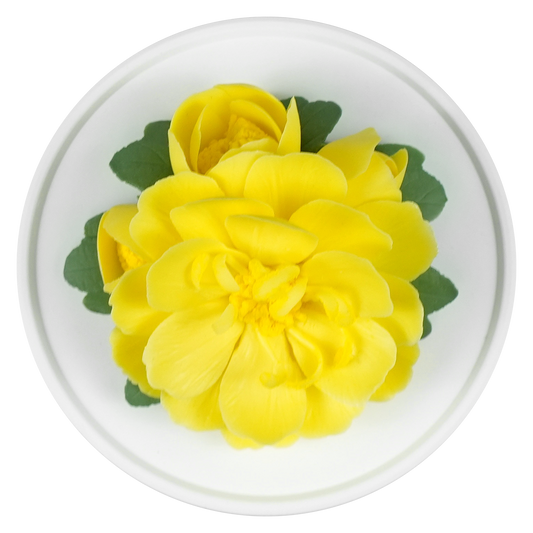 3S1L Yellow Peony - floracera