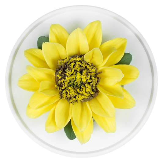 Yellow Sunflower - floracera