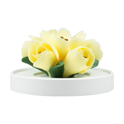 Yellow Tulip - floracera