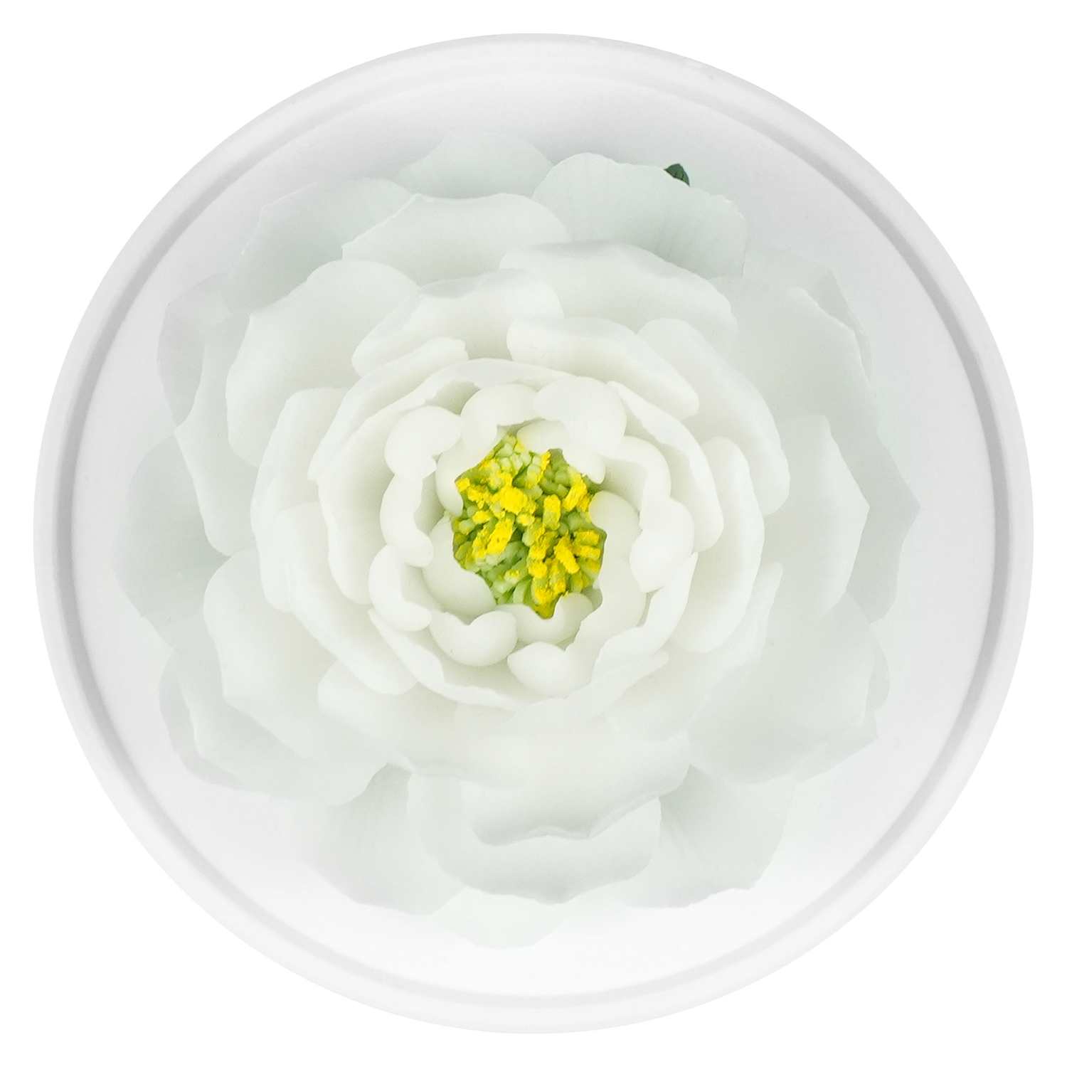 Luxury ceramic flower scent diffuser for home in white, peony, displayed from above