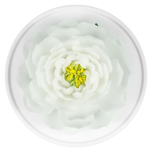 White Peony - floracera