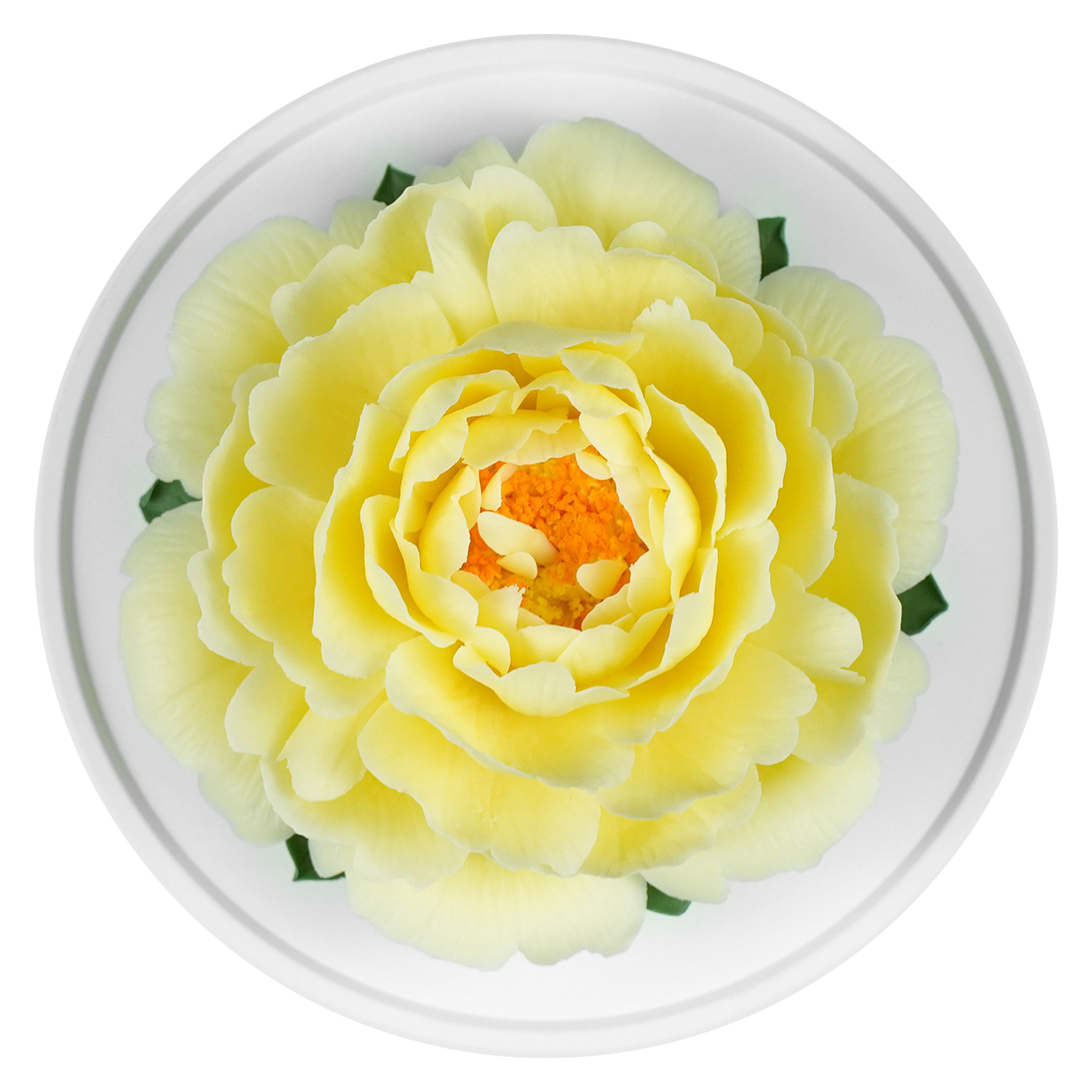Luxury ceramic flower scent diffuser for home in pale yellow, peony, displayed from above