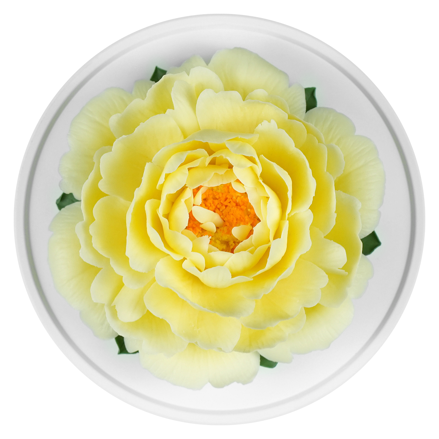 Luxury ceramic flower scent diffuser for home in pale yellow, peony, displayed from above