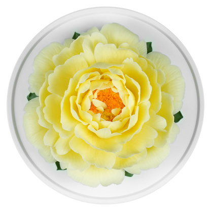 Luxury ceramic flower scent diffuser for home in pale yellow, peony, displayed from above