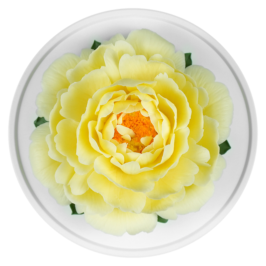 Pale Yellow Peony - floracera